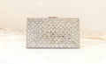 Elegant Clutch
